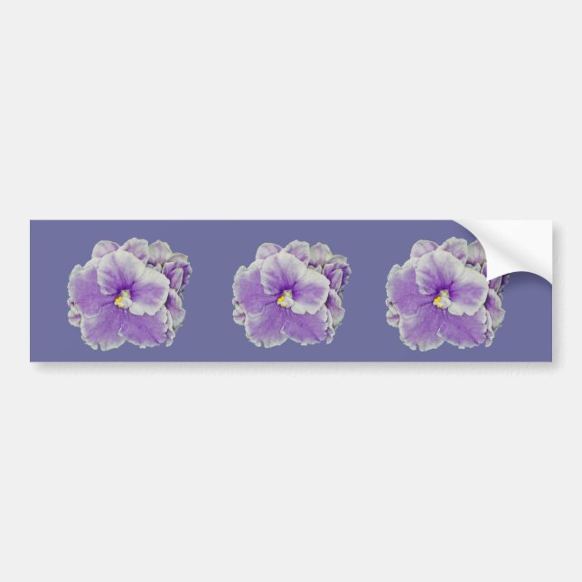 African Violet Purple Gifts Bumper Sticker (Front)