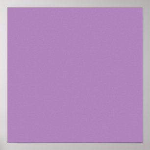 African violet (solid color) poster