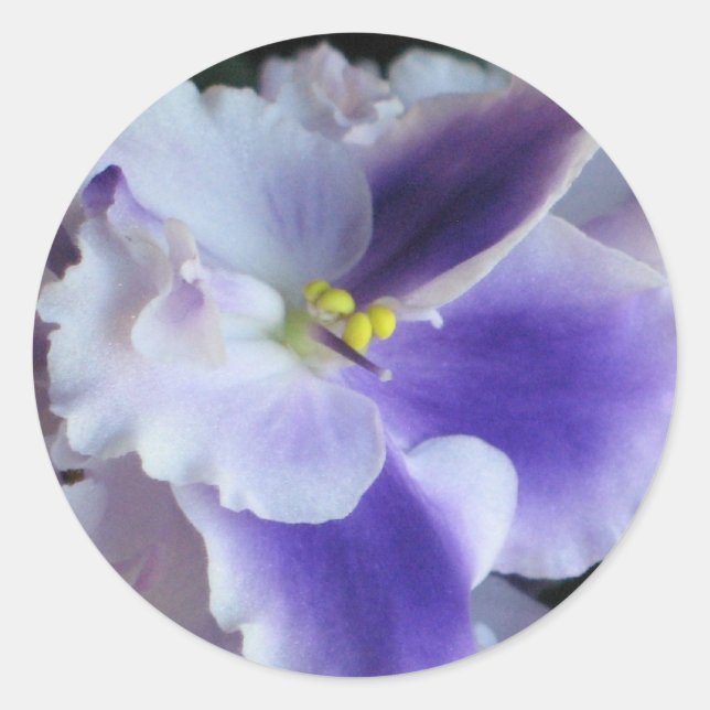 African Violets Sticker (Front)
