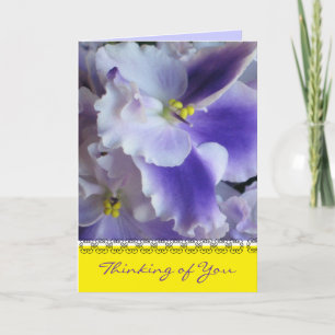 African Violets Thinking of You Card