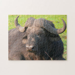 African Water Buffalo. Jigsaw Puzzle