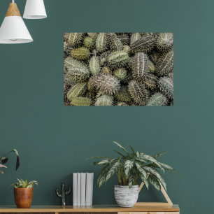 African wild cucumber tropical plant poster