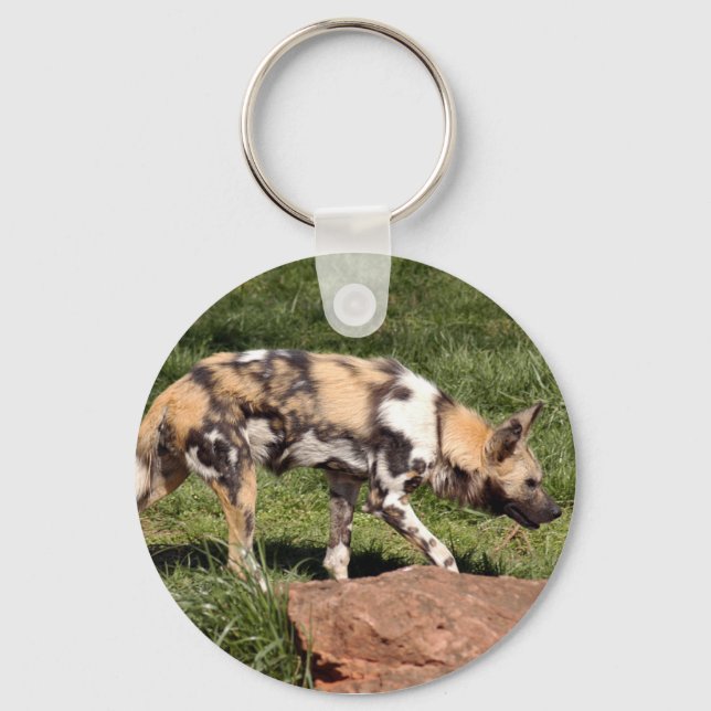 african-wild-dog-010 keychain (Front)