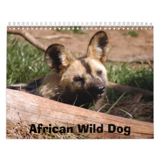 african-wild-dog-012, African Wild Dog Calendar