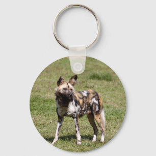 african-wild-dog-014 keychain