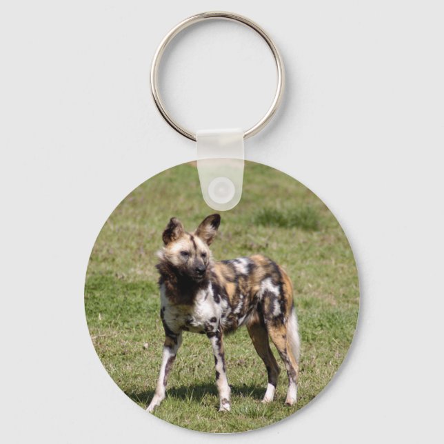 african-wild-dog-014 keychain (Front)