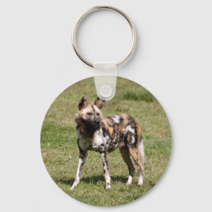 african-wild-dog-015 keychain
