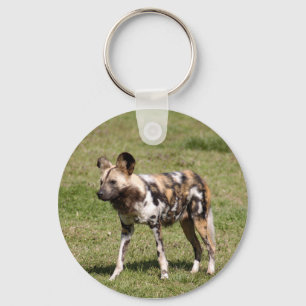 african-wild-dog-016 keychain