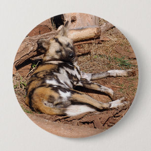 african-wild-dog-018 4 inch round button