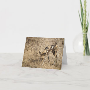 AFRICAN WILD DOG CARD