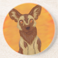 African Wild Dog