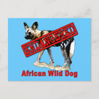 African Wild Dog Endangered Animal Products