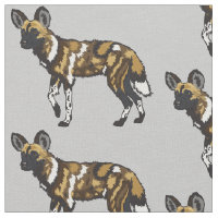 African wild dog
