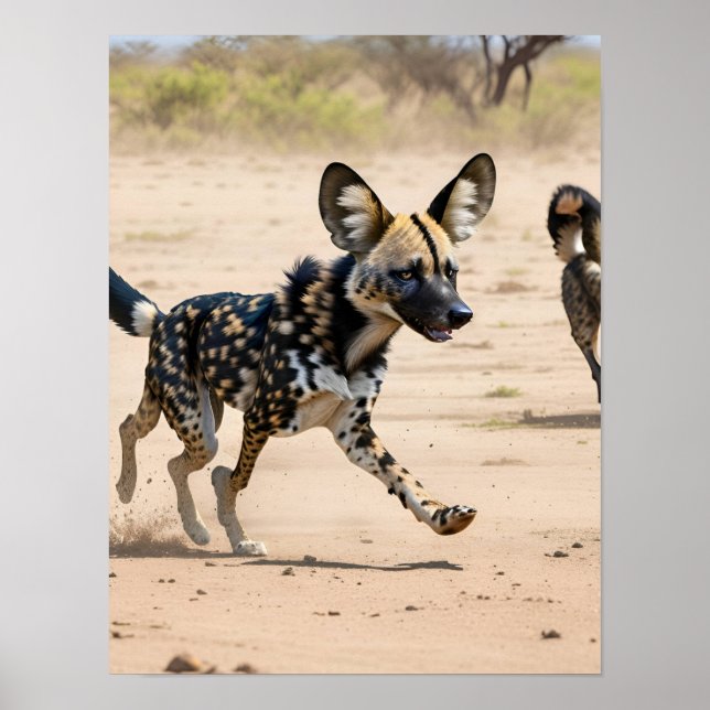 African wild dog hunting poster (Front)