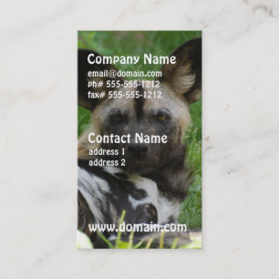 African Wild Dog Photo Business Cards
