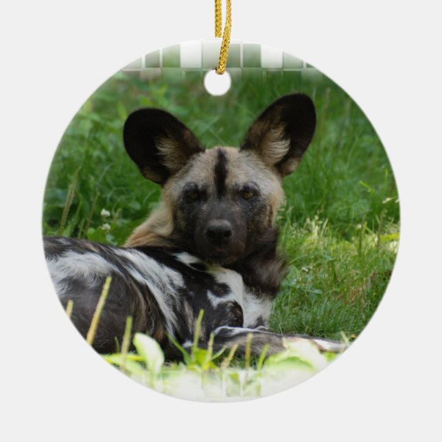 African Wild Dog Photo Ornament (Front)