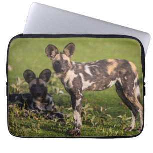 African Wild Dogs in Tanzania Laptop Sleeve