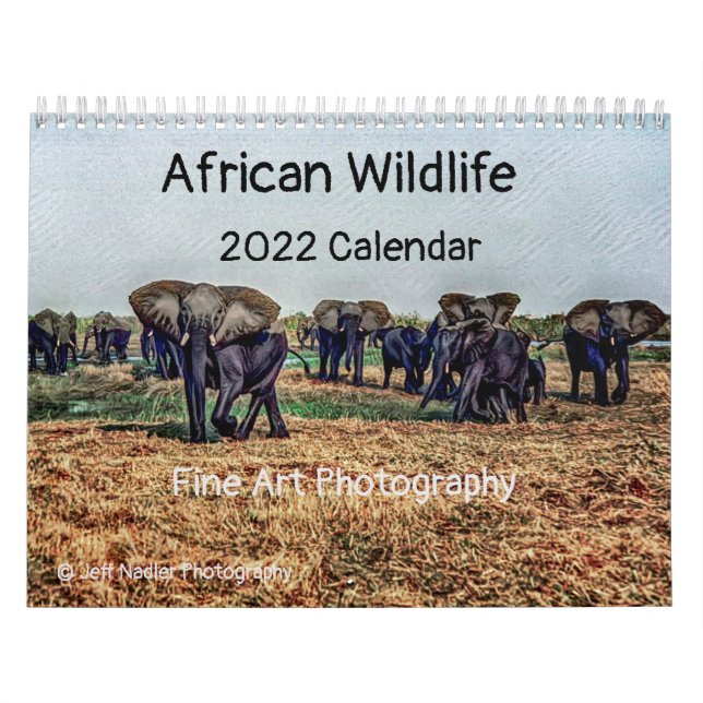 African Wildlife 2022 Calendar (Cover)