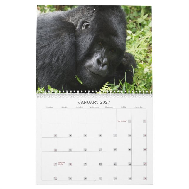 African wildlife calendar 2013 (Jan 2027)