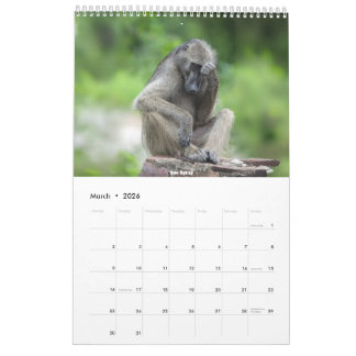 African Wildlife Calendar 2026