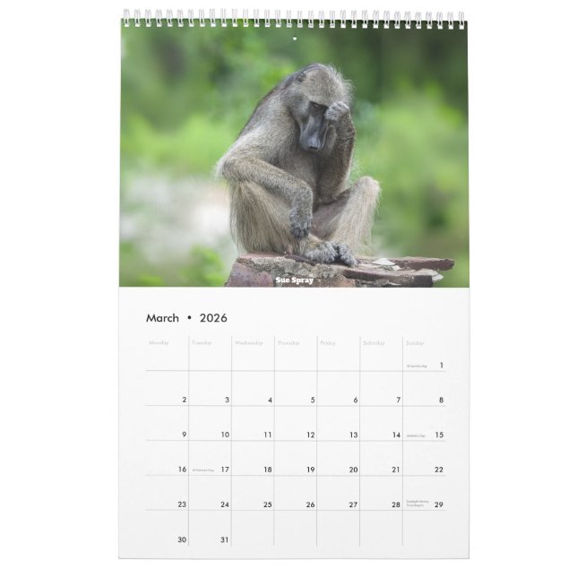African Wildlife Calendar 2026 (Mar 2026)
