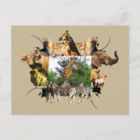 African Wildlife Frame Giraffe Aloe