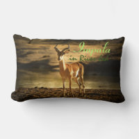 African Wildlife Impala in River-bed