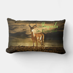 African Wildlife Impala in River-bed Lumbar Pillow