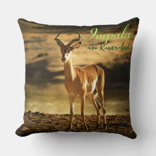 African Wildlife Impala in River-bed Throw Pillow