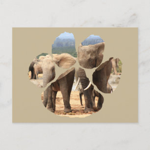 African Wildlife Lion Pawprint Elephant Siblings Postcard