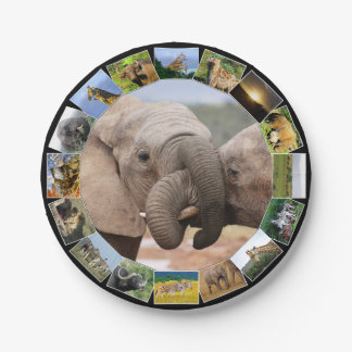 African Wildlife Photo Collage Elephant Trunks Paper Plate