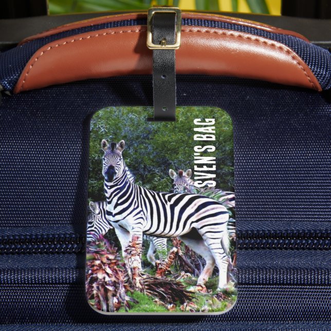 African Zebra Aloe Luggage Tag (Front Insitu 2)