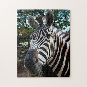 African Zebra. Jigsaw Puzzle