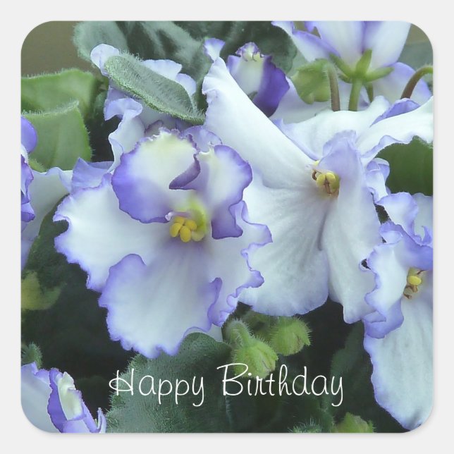 Africann Violet Happy Birthday stickers (Front)