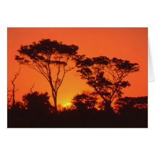 Afrique du Sud. Coucher de soleil africain.