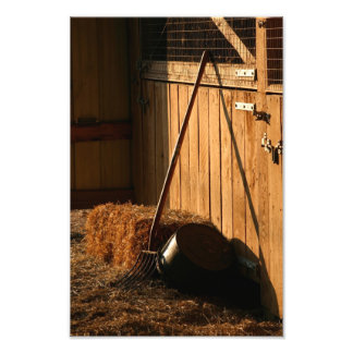 After Evening Chores Photo Print