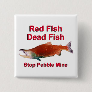 After Salmon - Stop Pebble Mine 2 Inch Square Button