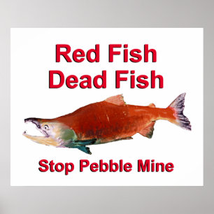 After Salmon - Stop Pebble Mine Poster