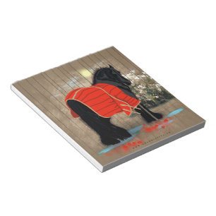 After The Grooming - Notepad