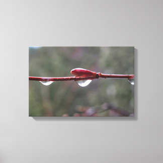 After the Rain Canvas Print