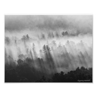 After the Rain - Early Morning in the Adirondacks Photo Print