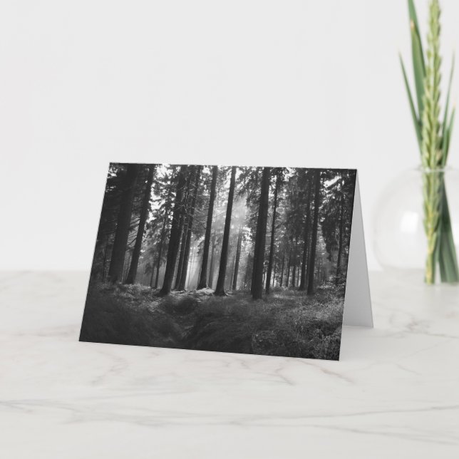 After the Rain • Greeting Card (Front)