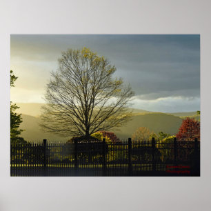 After the Rain Poster