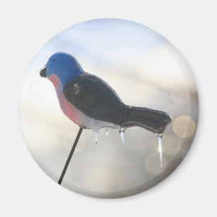 After The Storm Winter Nature Photo Magnet