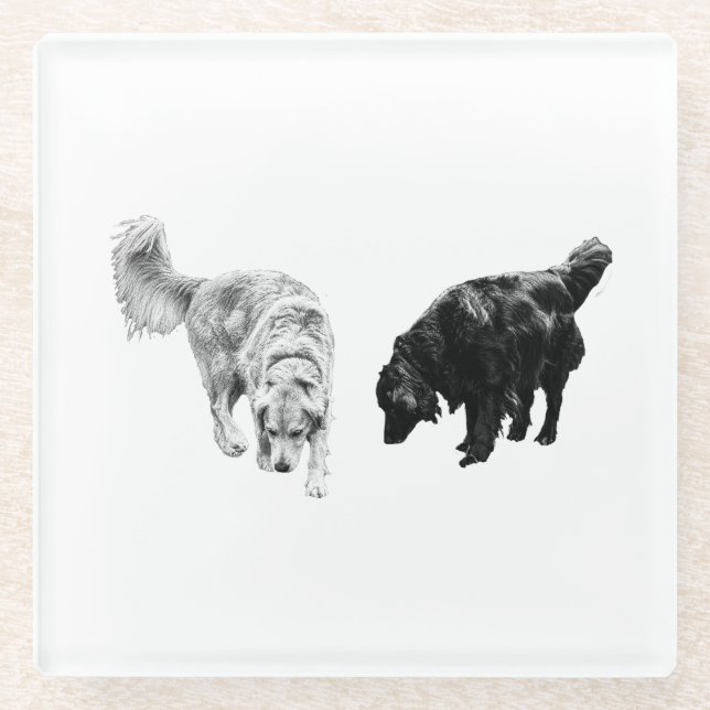 Afterglow Table Hush — Retriever Duo Glass Coaster (Front)