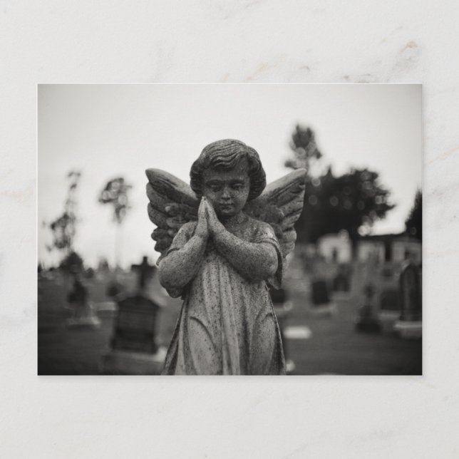 Afterlife Postcard (Front)