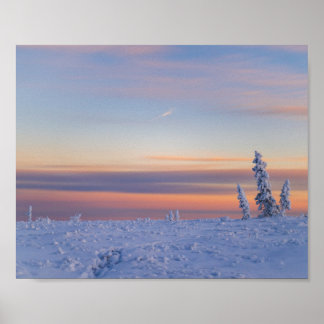 Afternoon Glow Poster