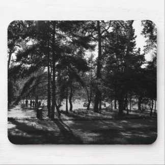 Afternoon in the Park Mouse Pad