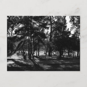 Afternoon in the Park Postcard