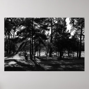 Afternoon in the Park Poster